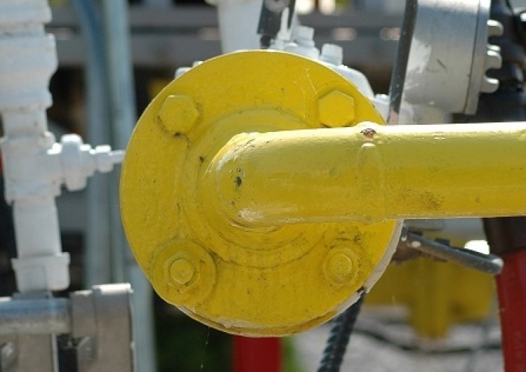 Warsaw Institute: Nord Stream 2 i Turkish Stream. Geopolityka a zysk ludzi Putina