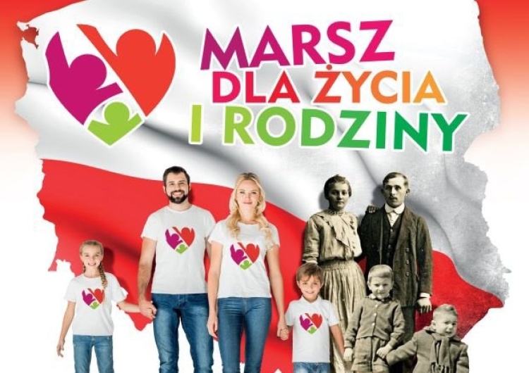 Miażdżące porównanie. W ilu miastach odbyła się Parada Równości, a w ilu Marsz dla Życia i Rodziny