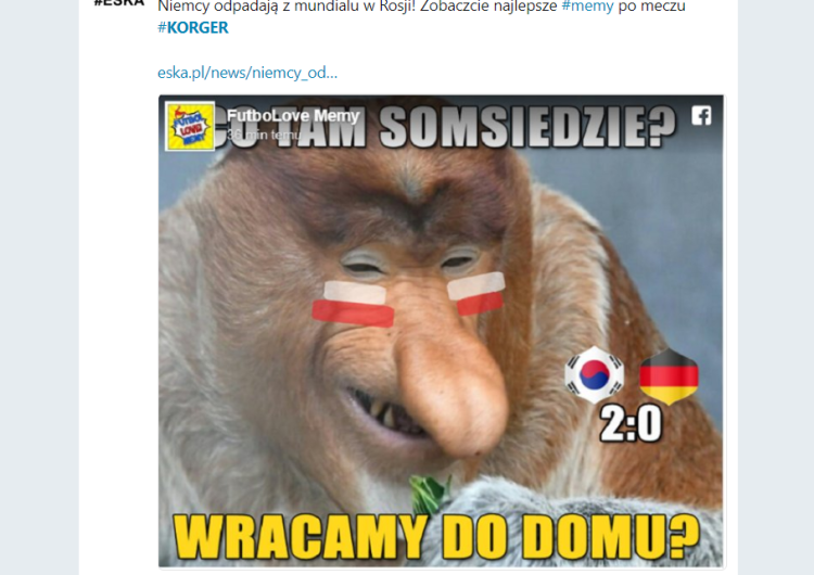  Polski Twitter po odpadnięciu Niemiec eksplodował