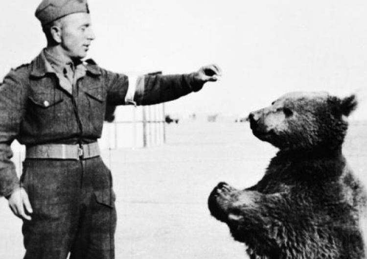  Jerzy Bukowski: Opiekun niedźwiedzia Wojtka podpułkownikiem