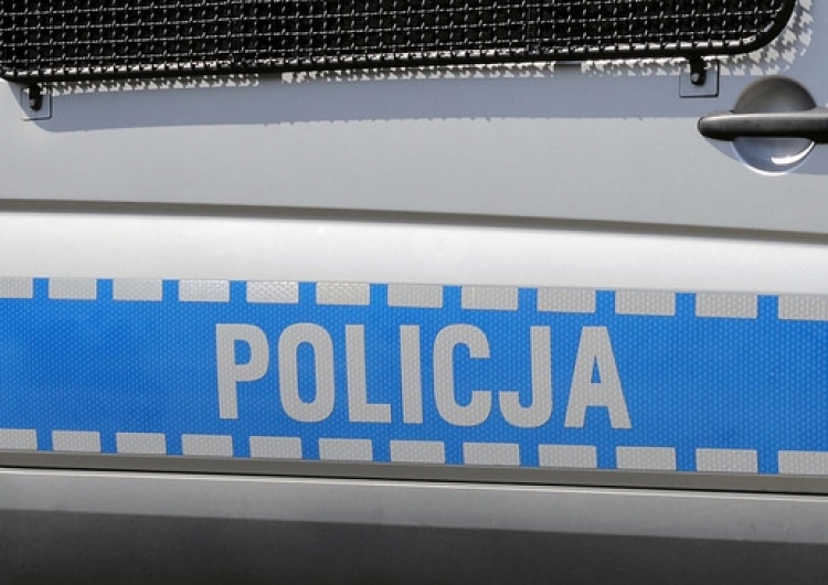 Rosemann: Rewolucja „pip w rurkach” i idiotów z mandatem