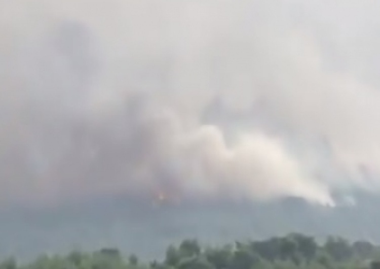  Co najmniej 50 osób nie żyje. 200 osób zostało rannych. Bilans ofiar pożarów lasów w Grecji