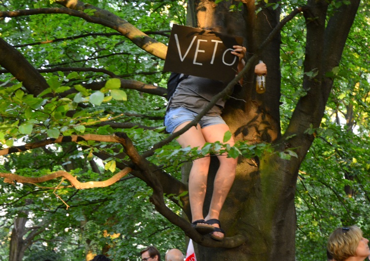 Tomasz Gutry [Nasza fotorelacja] Dziewczyna na drzewie, czyli "obrońcy demokracji" protestują pod Senatem