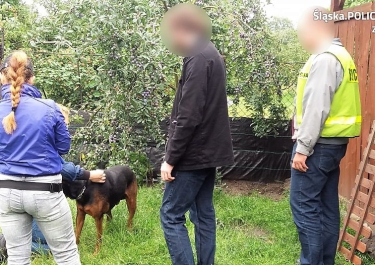 Jarasz: Służby weszły do hoteliku dla psów i hodowli. Zarzuty dla właściciela agresywnego wobec zwierząt