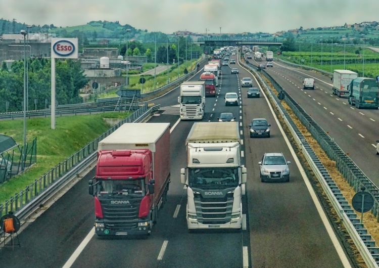 To nie żart. Niemiecki urząd zatrudnił pełnomocniczkę od elfów.Ma "zabezpieczyć energetycznie" autostradę