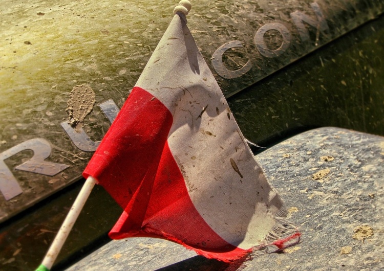 Michał Ossowski, red. naczelny "TS": Wojna polsko-polska trwa