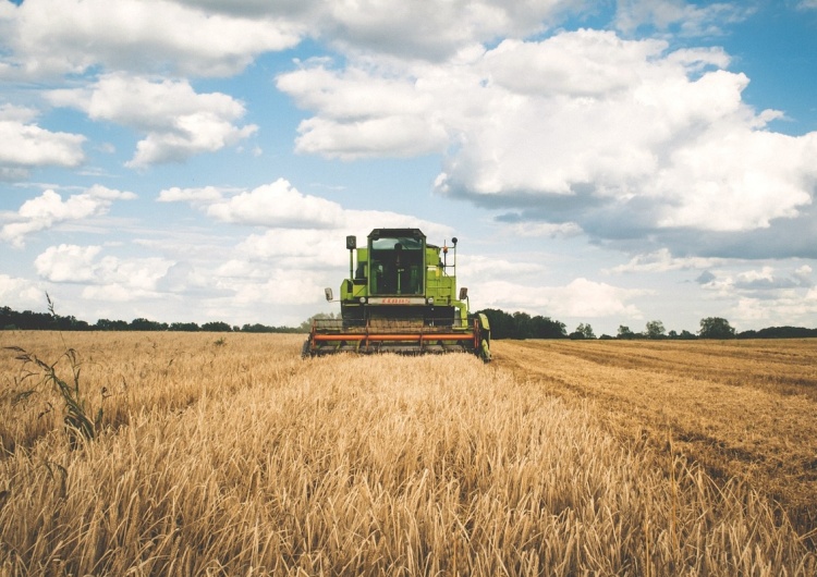  Niemcy dadzą 340 mln euro pomocy swoim rolnikom z tytułu suszy