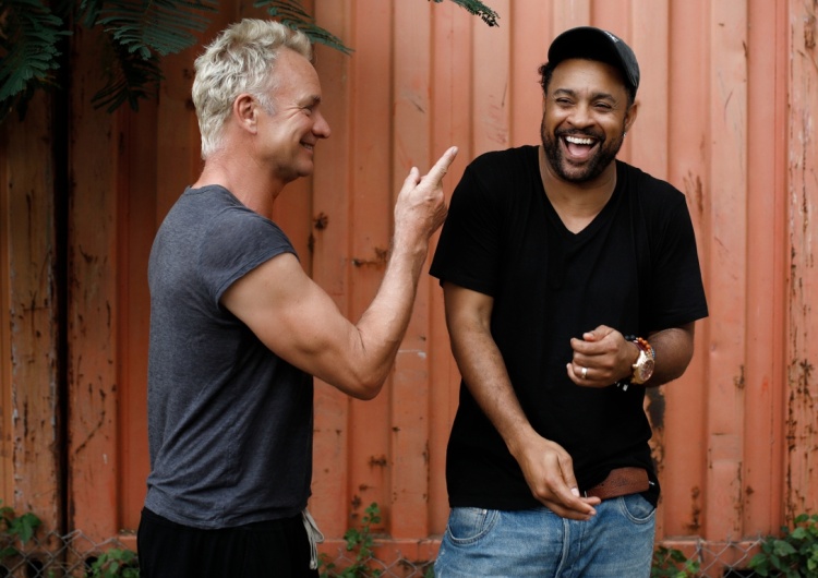  Sting i Shaggy zagrają dwa koncerty w Polsce