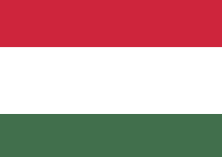  MSZ Węgier: Na Ukrainie trwa kampania nienawiści przeciwko węgierskiej społeczności
