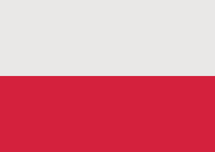  [Komentarze] Internauci składają życzenia Polsce z okazji 100. rocznicy Odzyskania Niepodległości