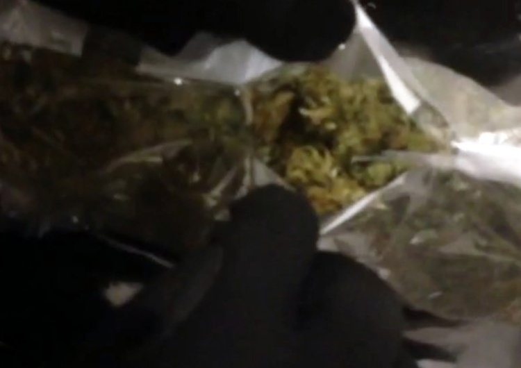  Policjanci przejęli 112 kilogramów marihuany wartej 3 mln zł. w transporcie z mandarynkami