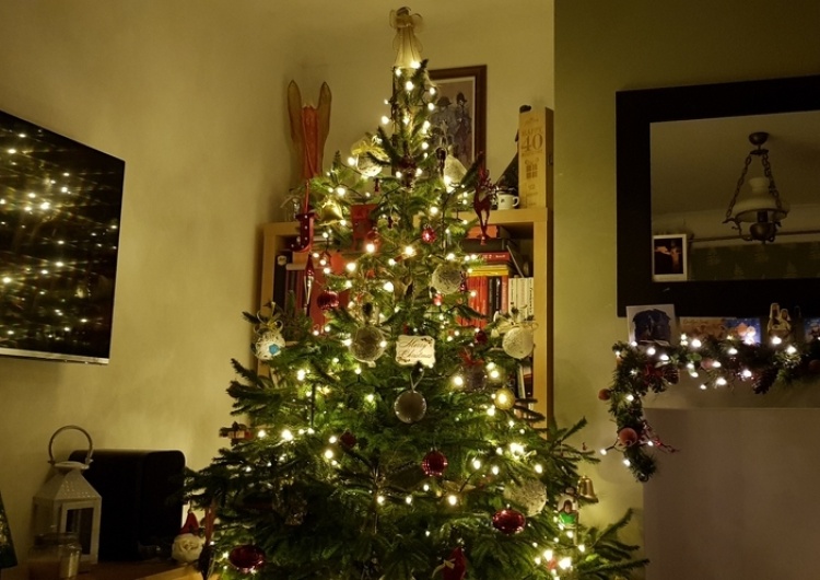  Adrian Wachowiak: Czas oswoić smoka, czyli najlepsze całoroczne życzenia świąteczne