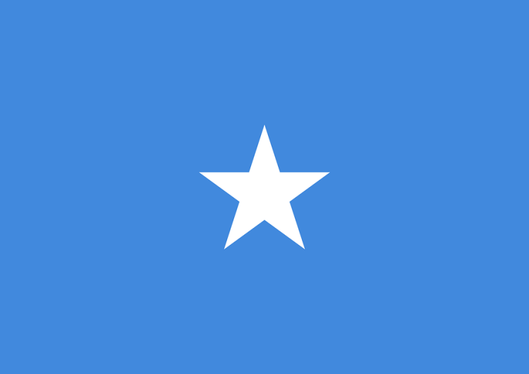  Somalia: Wybuch samochodu-pułapki. Nie żyją dwie osoby