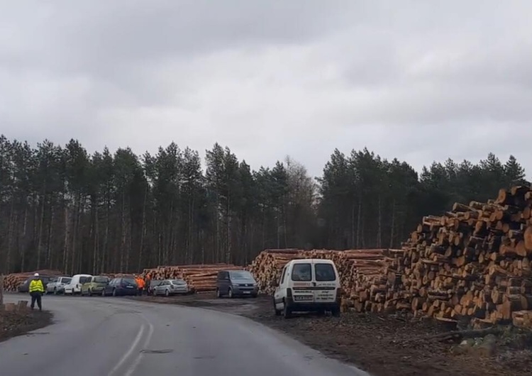  Zakończono wycinkę drzew na Mierzei Wiślanej. Przekopu dokona zagraniczna firma?