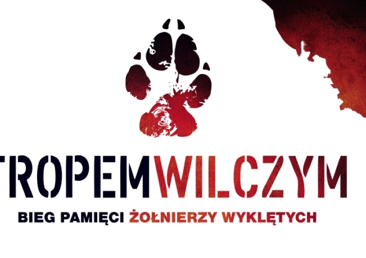  [video] Biegi "Tropem Wilczym" w całym kraju, a nawet na Białorusi