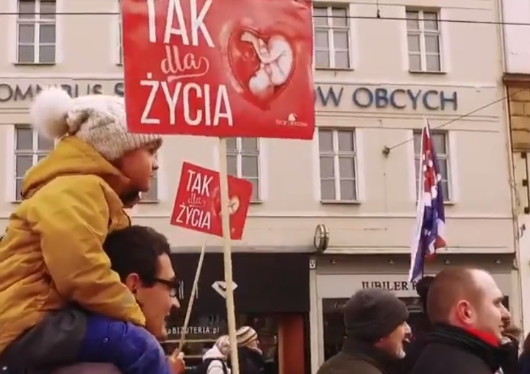  [Video] Kolejne grupy zgłaszają akces do niedzielnego Narodowego Marszu Życia