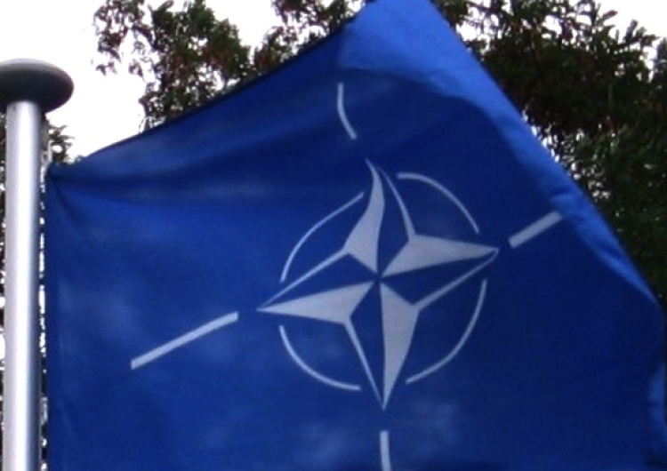 domena publiczna Chorwacki dziennik opublikował tajne dokumenty NATO: "Sojusz gotowy do interwencji"
