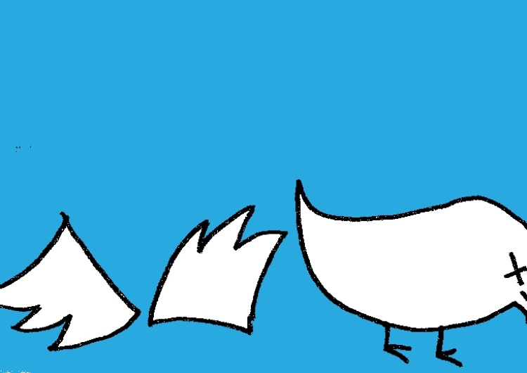 "Koncerny walczą o wolność słowa". W nocy Twitterowiczom ubyło "followersów"