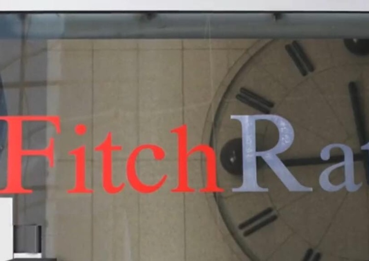 Agencja Fitch o polskiej gospodarce: Mocne fundamenty. Piekara: "Dzien toczenia piany z pyska"