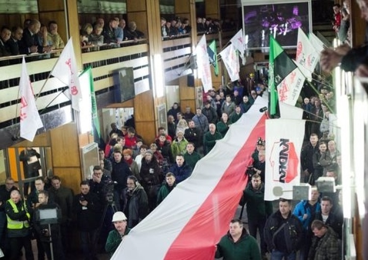 Nadłużej strajkowali na Piaście. Na powierzchnię strajkujący wyjechali dopiero po dwóch tygodniach