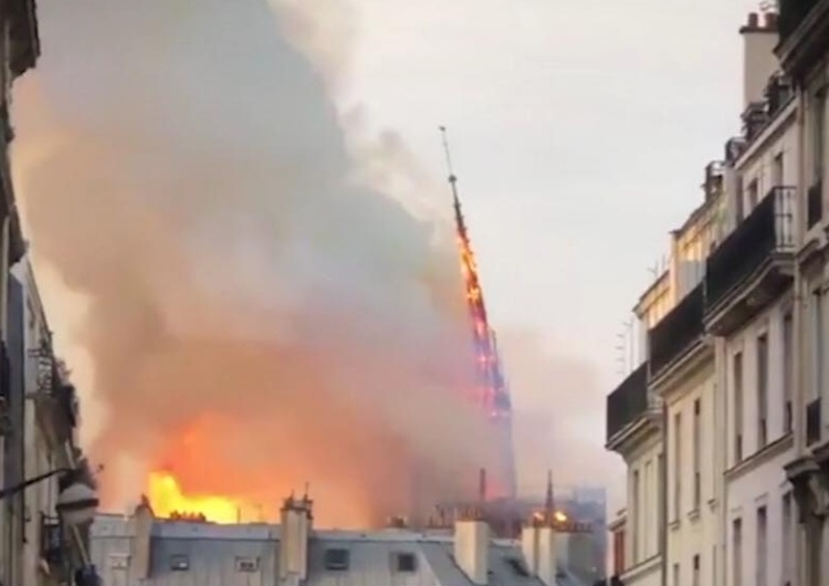  Propozycja odbudowy Notre-Dame: Iglicę przerobić na minaret, by "uczcić Algierczyków"