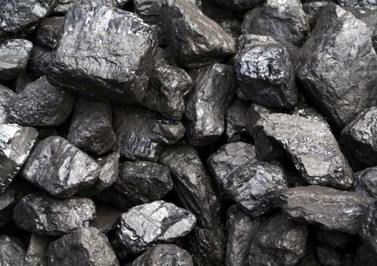  [video] PSL również za "odchodzeniem od węgla". W tym czasie Niemcy budują nowe kopalnie