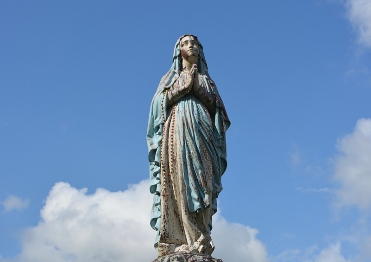  Reakcje hierarchów Kościoła na profanację ikony Matki Bożej: "Męczeństwo św. Szczepana rozpoczyna..."