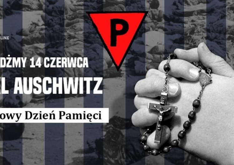 Joanna Płotnicka: Dzień Pamięci Polskich Ofiar Niemieckich Obozów pod patronatem Prezydenta!