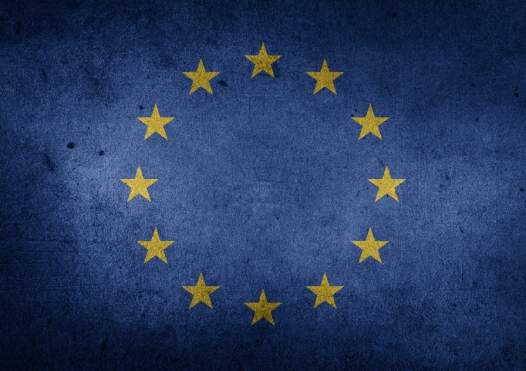  Ryszard Czarnecki: Eurosceptycyzm niejedno ma imię