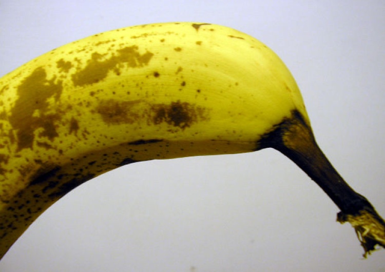 Tygodnik Powszechny pismo "katolickie" prezentuje pracę Natalii LL z kobietą liżącą banana - "Zapraszamy"