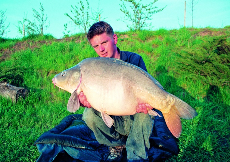  Zdrowy karp i drapieżnik ze światłowstrętem