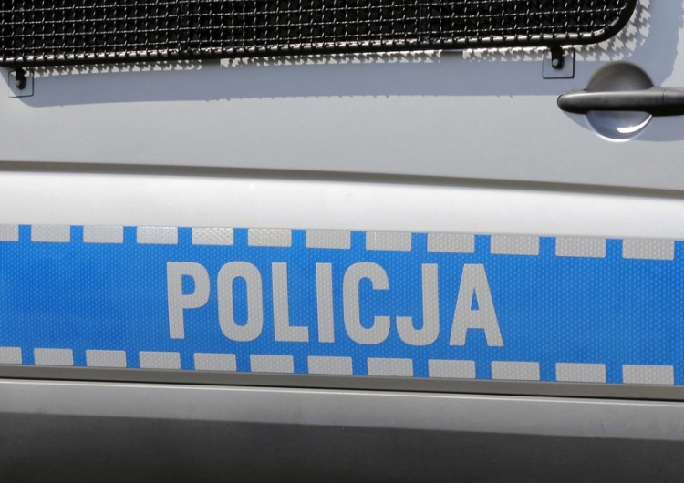 Zabójstwo 10-latki z Mrowin. Policja wyznaczyła nagrodę za pomoc w odnalezieniu mordercy