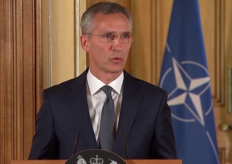Krzysztof Szczerski wiceszefem NATO? Szef NATO Jens Stoltenberg komentuje