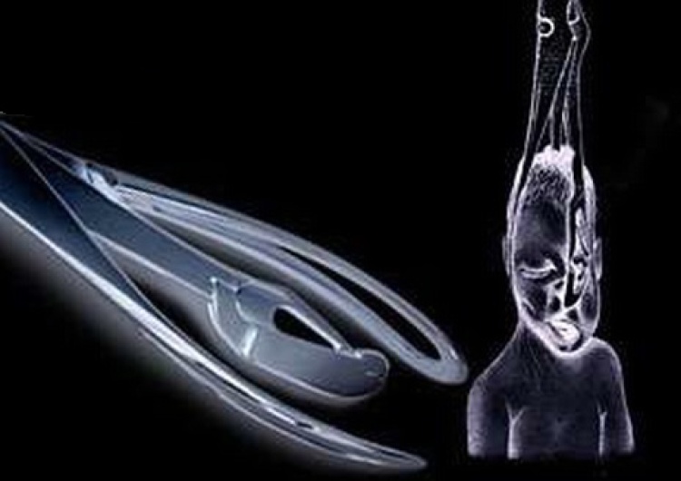 Zespoły metalowe wspierają zabijanie dzieci. Wydały specjalną proaborcyjną składankę