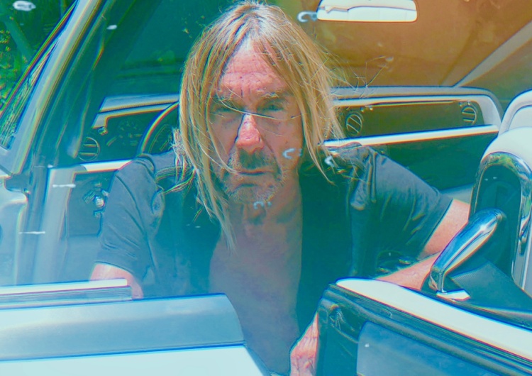  Iggy Pop wraca z nowym albumem. Premiera „Free” jeszcze w tym roku!