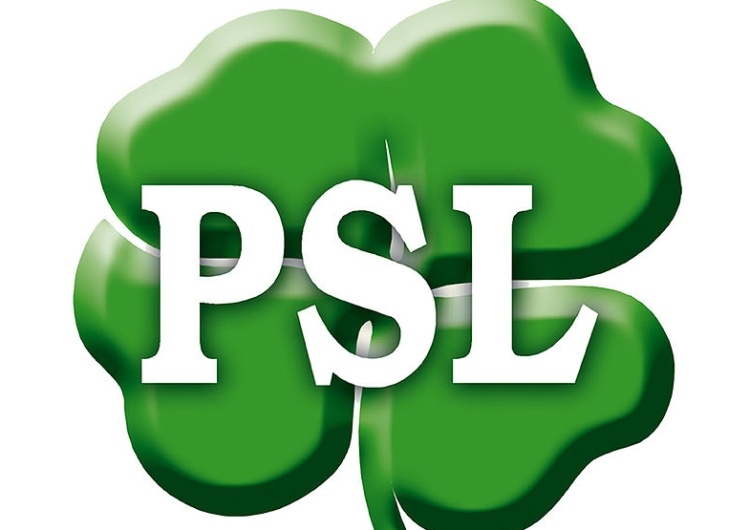 Rzecznik PSL: Zagłosowałbym za związkami partnerskimi...