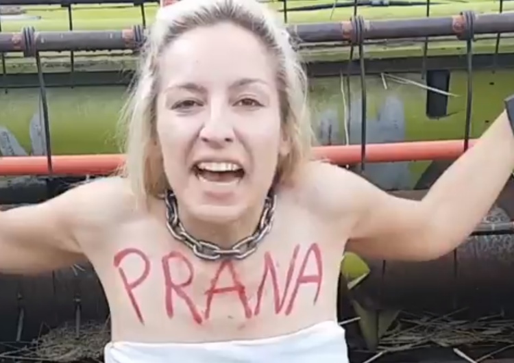  [video] Spot w obronie zjadanych roślin: "Nie pozwolę by zginął żaden kłosek!"