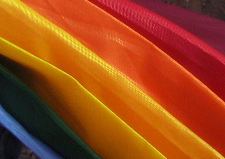 Wirtualna Polska "ciśnie" temat LGBT, ale komentatorzy coś nie dopisali