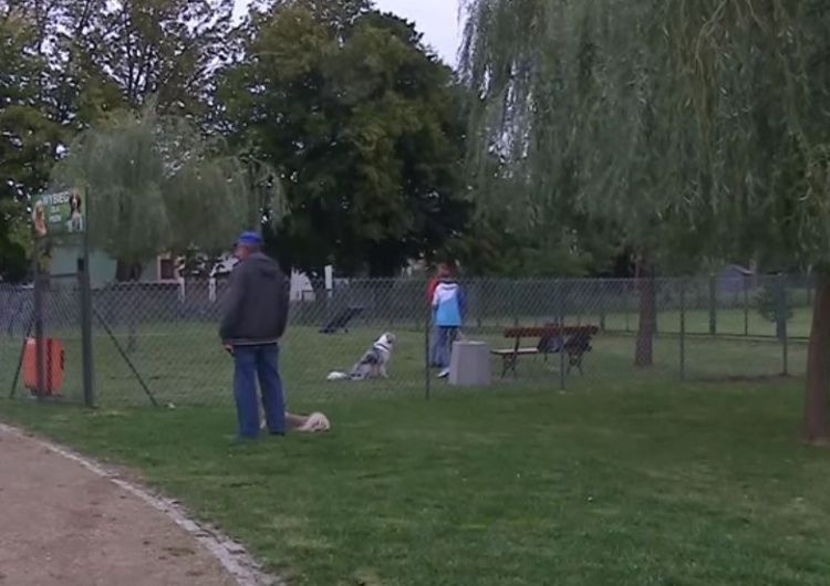 Park z wybiegiem dla psów nazwany imieniem Sprawiedliwych Wśród Narodów Świata. Matecki: "To niegodne"