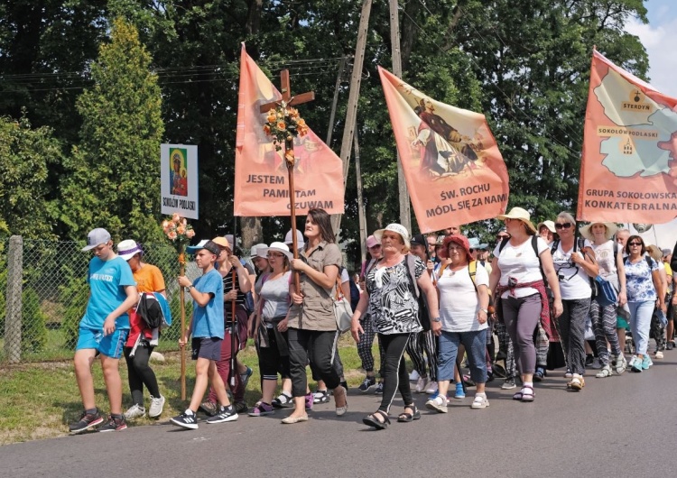Hetmanka spraw trudnych. Czczenie Maryi jako Królowej Polski zaczęło się nie w Polsce, a... we Włoszech
