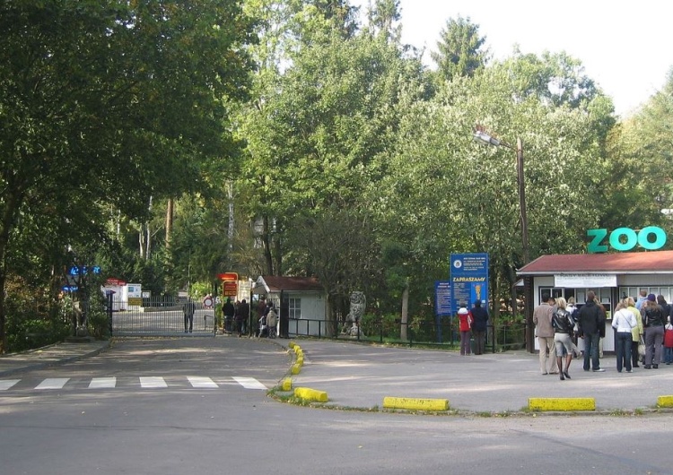 Gdańskie ZOO zapewnia, że... orientacja seksualna jego podopiecznych jest ich prywatną sprawą