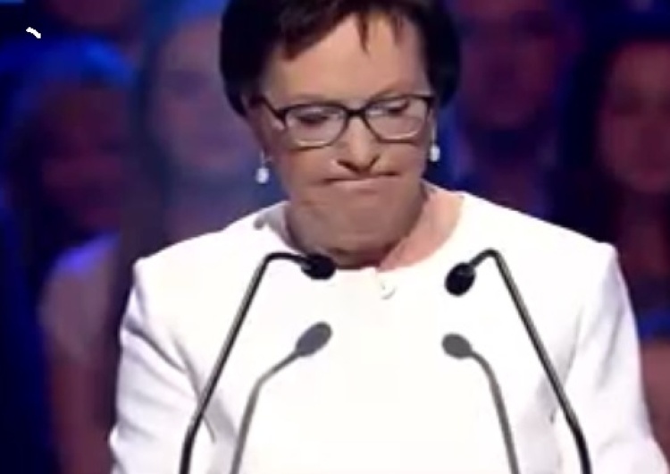 Kopacz: "Rządzący wykorzystali Min. Sprawiedliwości". Sama zapowiadała zatrudnienie 50-100 hejterów