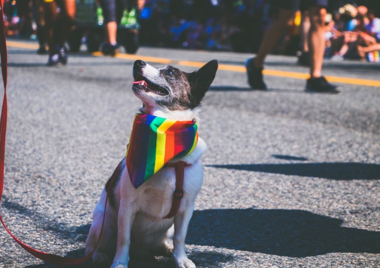  Ekspert: Wiele ruchów pseudoekologicznych wywodzi się z ideologii LGBT