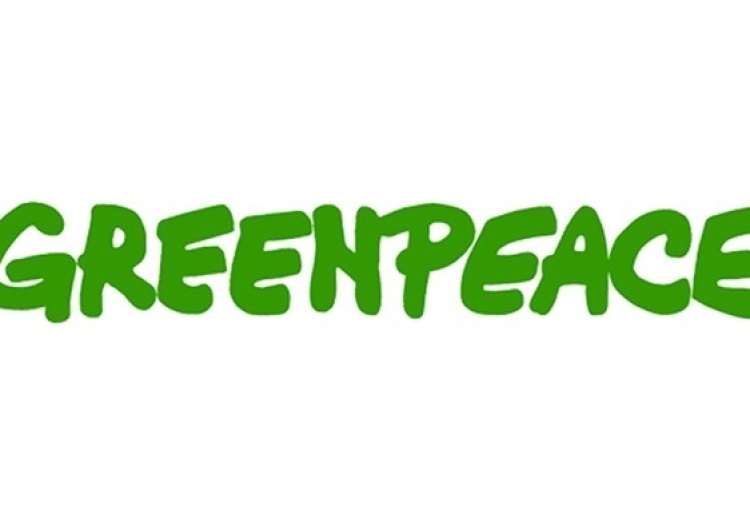 Presja ma sens. Greenpeace w końcu odniosło się do sprawy katastrofy ekologicznej w Warszawie, ale...