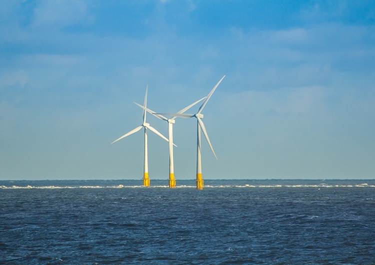  [KRYNICA] Co dalej z farmami wiatrowymi na Bałtyku?