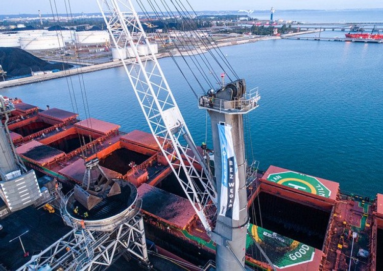  Aktywiści Greenpeace usiłują zwrócić na siebie uwagę. Tym razem wspięli się na dźwigi w gdańskim porcie