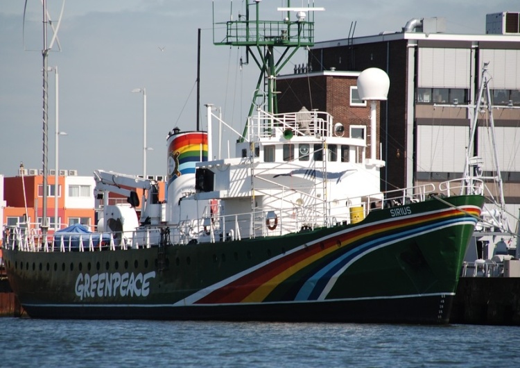 Starcie Wybranowskiego z Greenpeacem: "Skoro przyznajecie, że to pic na wodę, to pocałujcie mnie w d..."