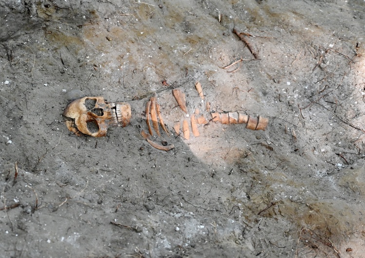 MKiDN Szczątki obrońcy Westerplatte odnalezione podczas badań archeologicznych