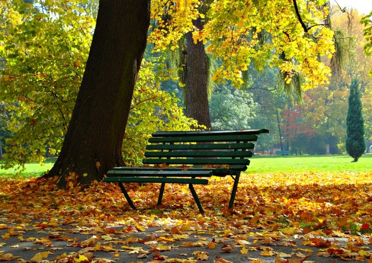 Jutro 3 listopada. Niedziela wolna od handlu