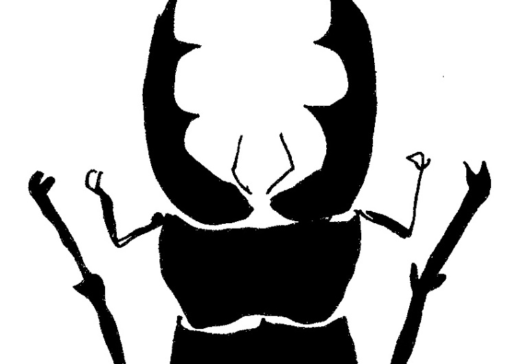  [Kliknij aby zobaczyć całość] Nowy rysunek Krysztopy: Gatunek chroniony
